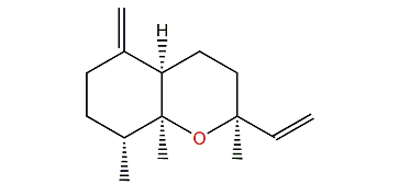 Dactyloxene D